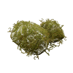 Moss - Arc Raiders