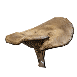 Mushroom - Arc Raiders